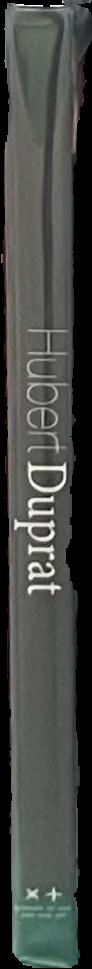 Hubert Duprat : massive centrale spine