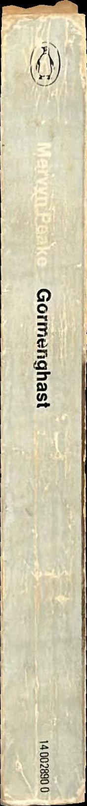 Gormenghast spine