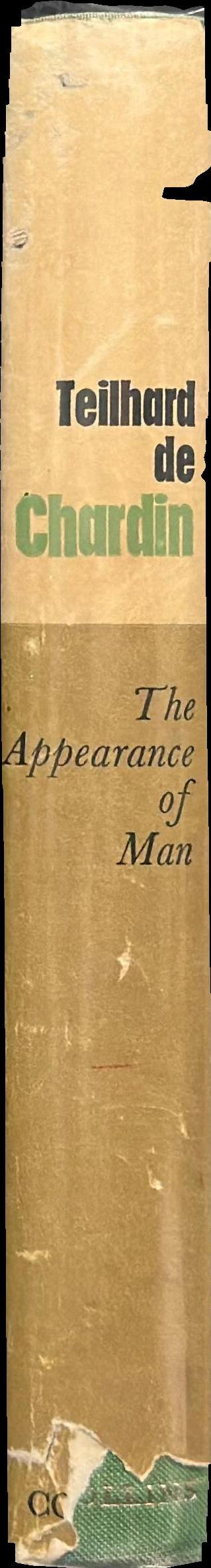 The appearance of man spine