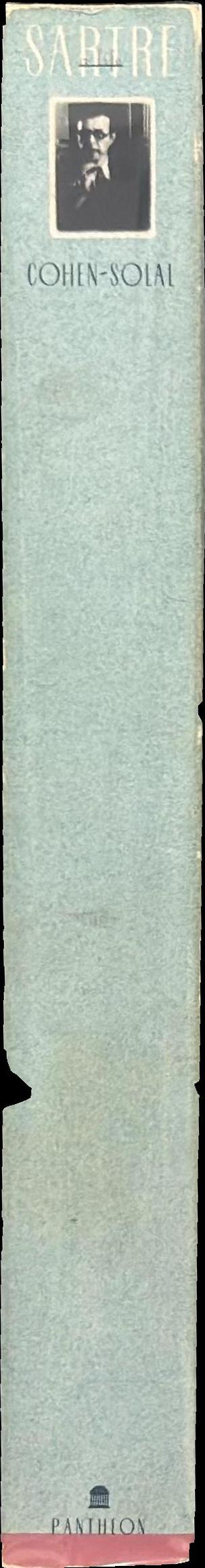 Sartre : a life spine