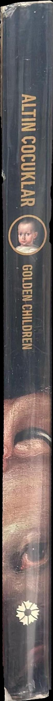 Golden children : 16th-19th century European portraits spine