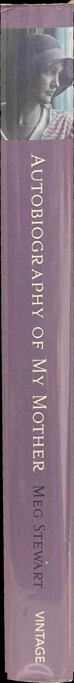 Autobiography of my mother spine