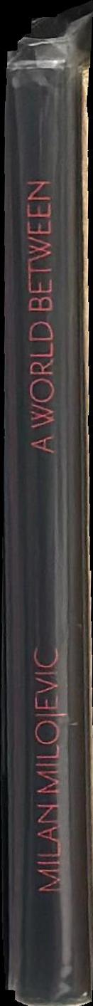 A world be-tween : a survey of prints by Milan Milojevic spine