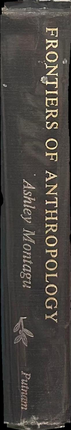 Frontiers of anthropology spine