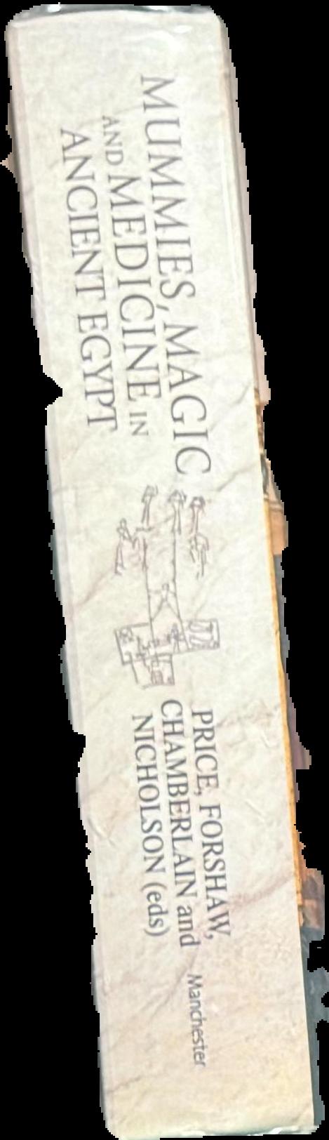 Mummies, magic and medicine in ancient Egypt : multidisciplinary essays for Rosalie David spine