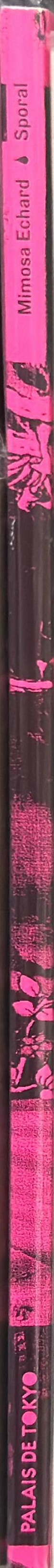 Mimosa Echard : sporal spine