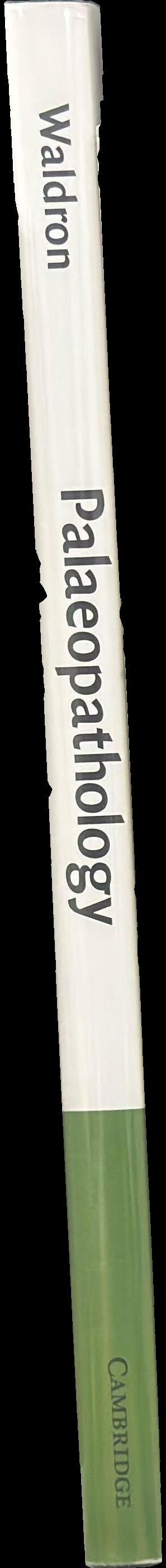 Palaeopathology spine