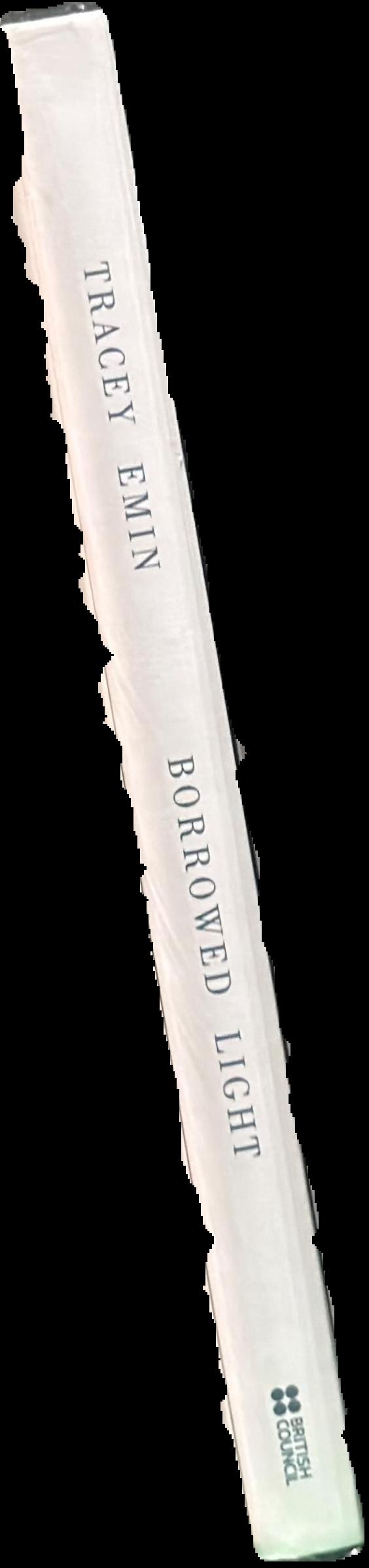 Tracey Emin : borrowed light spine
