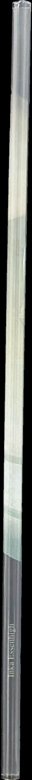 Inka Essenhigh spine