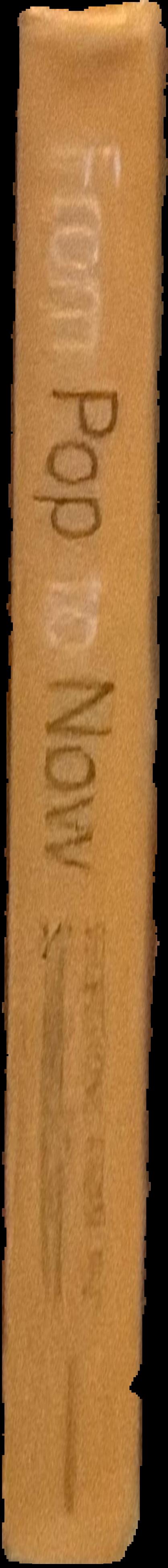 From Pop to now : selections from the Sonnabend Collection spine