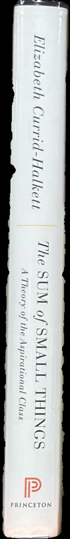 The sum of small things : a theory of the aspirational class spine