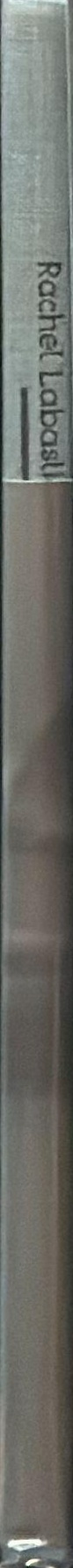 De l'apparence des choses : chapitre III : vestiges spine