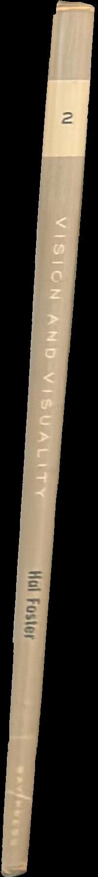 Vision and visuality spine