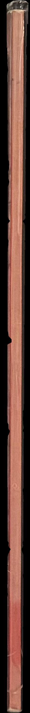 Forbidden Pompei spine