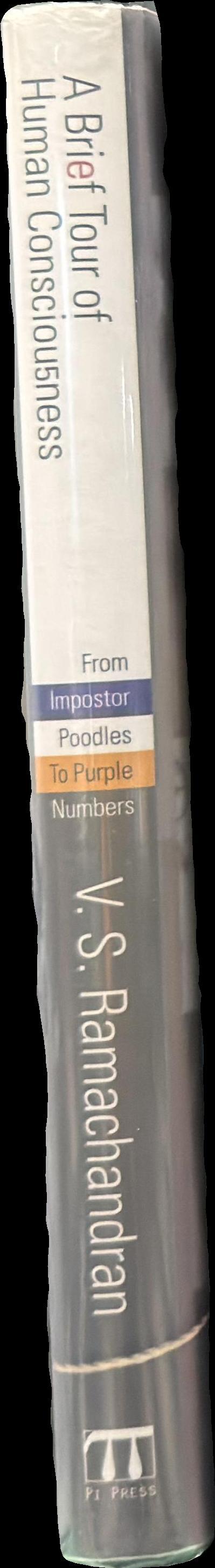 Brief tour of human consciousness : from imposter poodles to purple numbers spine