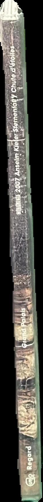 Anselm Kiefer : Sternenfall : chute d'etoiles spine