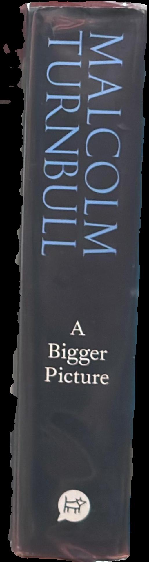 A bigger picture spine