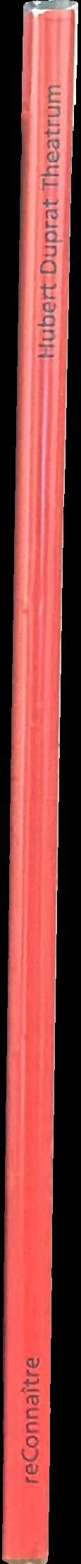 Hubert Duprat Theatrum spine
