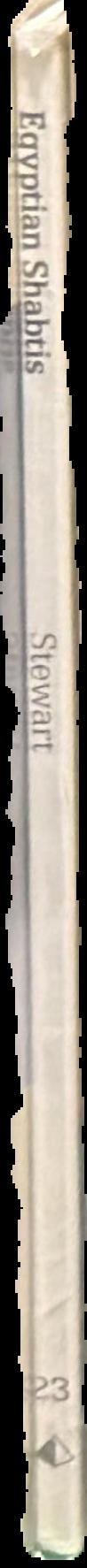 Egyptian shabtis spine