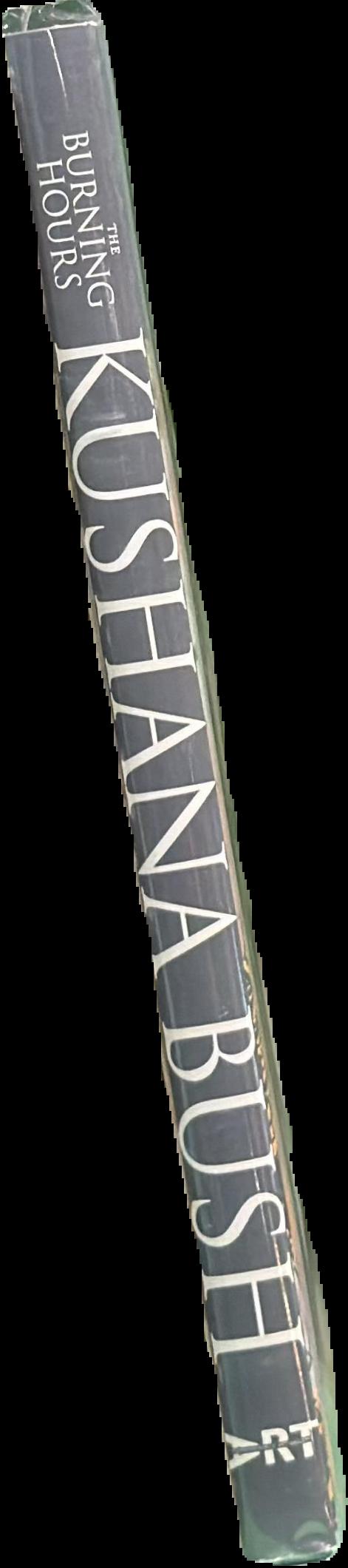The burning hours spine