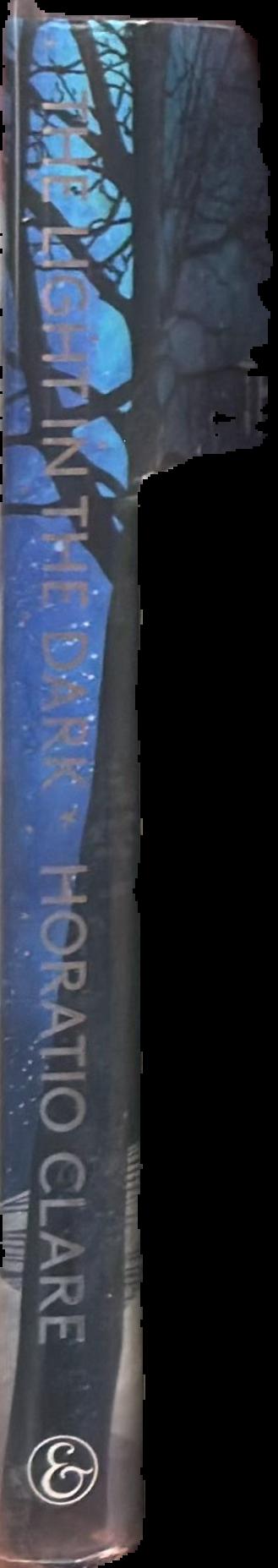 The light in the dark : a winter journal spine