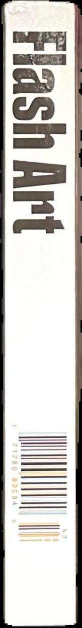 Flash art spine