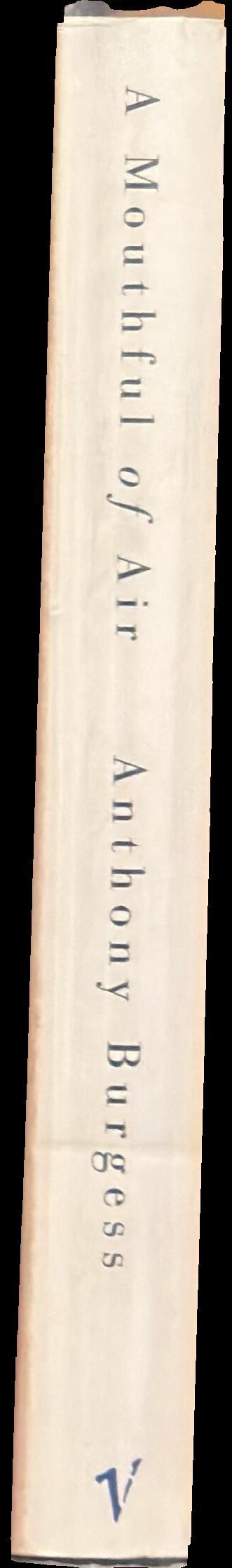 A mouthful of air : language and languages especially English spine
