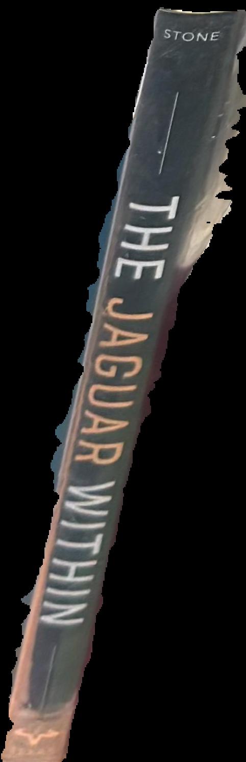 The jaguar within : shamanic trance in ancient Central and South American art spine