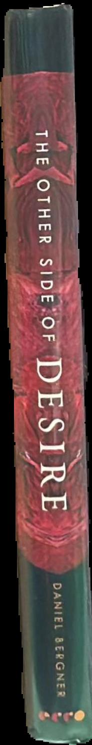The other side of desire : four journeys into the far realms of lust and longing spine