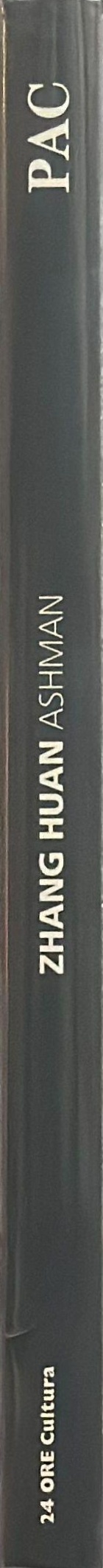 Zhang Huan : ashman spine