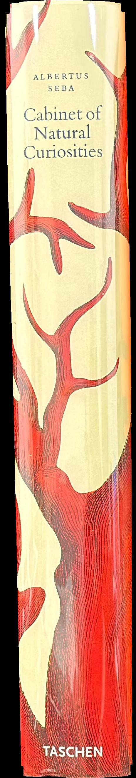 Cabinet of natural curiosities : Locupletissimi rerum naturalium thesauri 1734-1765 spine