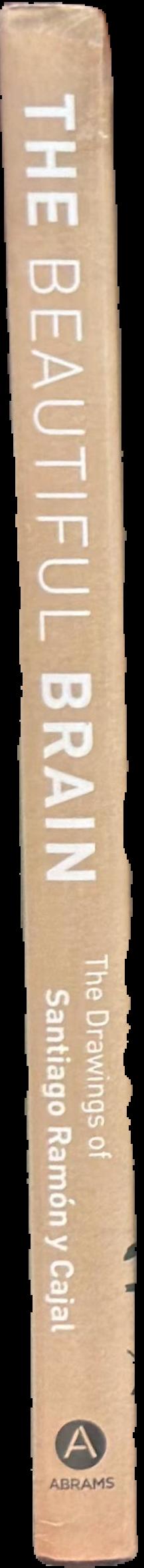 The beautiful brain : the drawings of Santiago Ramón y Cajal spine