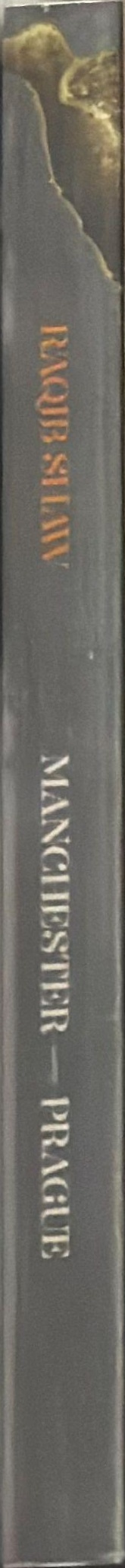 Raqib Shaw spine
