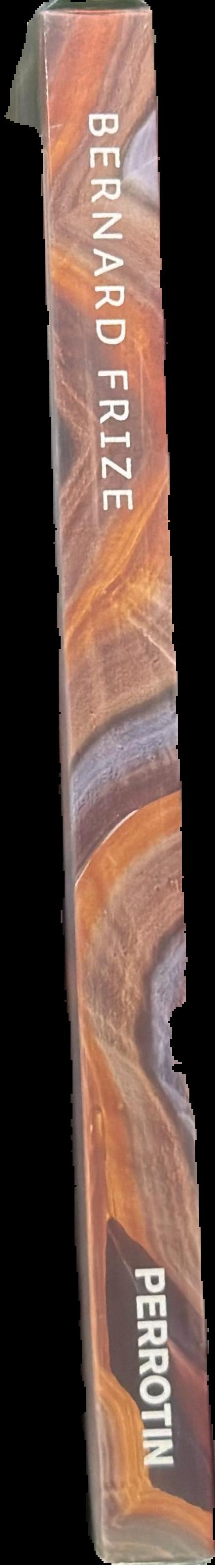 Bernard Frize spine