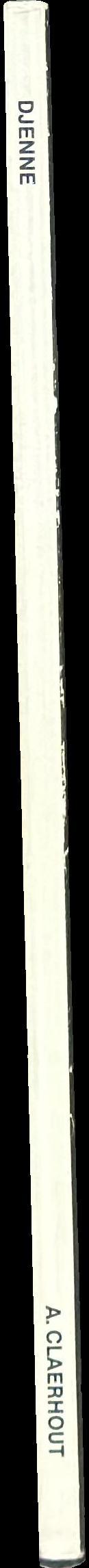 Ancient terracotta statuary and pottery from Djenne, Mali / Dr. A. Claerhout spine