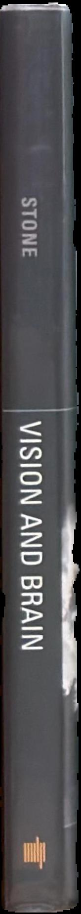 Vision and brain : how we perceive the world spine