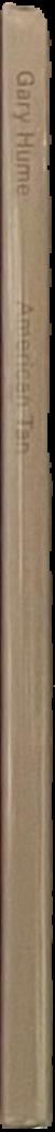 Gary Hume : American tan spine