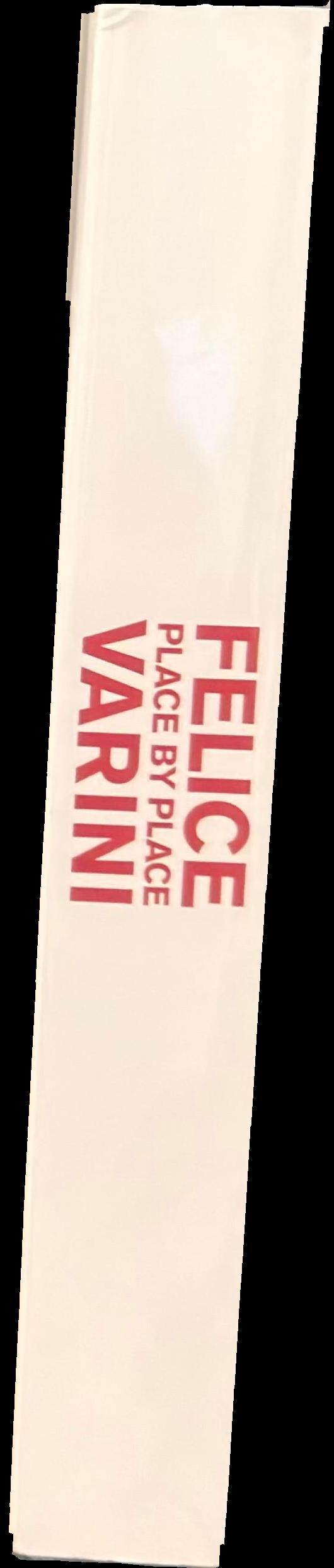 Felice Varini : place by place spine