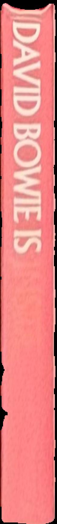 db spine