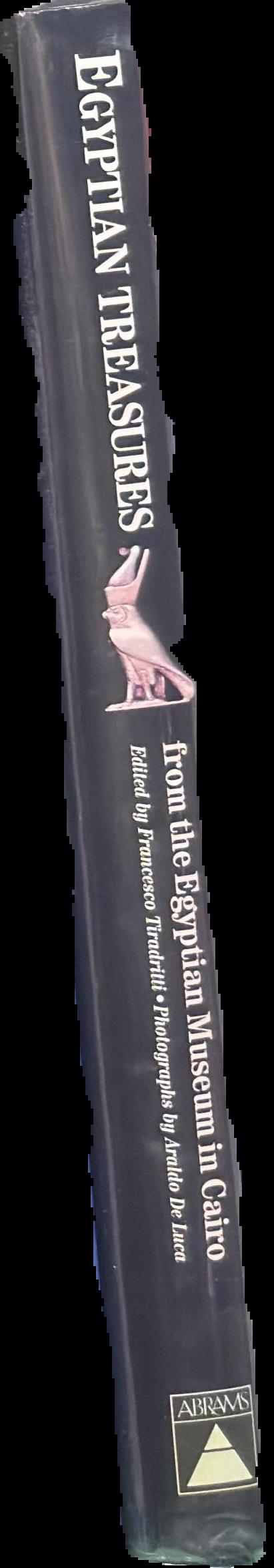 Egyptian treasures from the Egyptian Museum in Cairo / edited by Francesco Tiradritti ; photographs by Alaldo De Luca spine