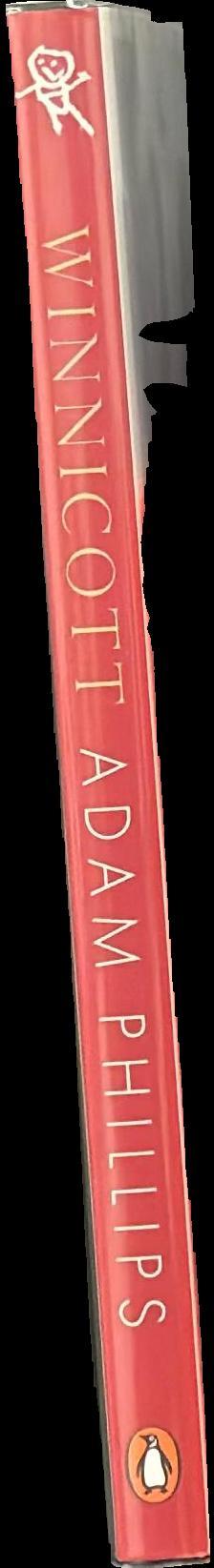 Winnicott spine