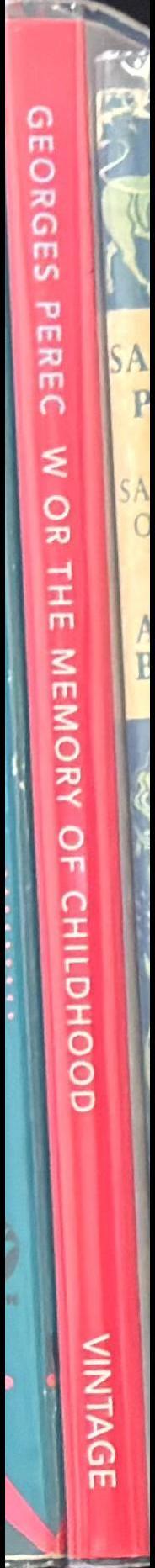 W or the memory of childhood spine