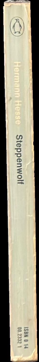 Steppenwolf spine
