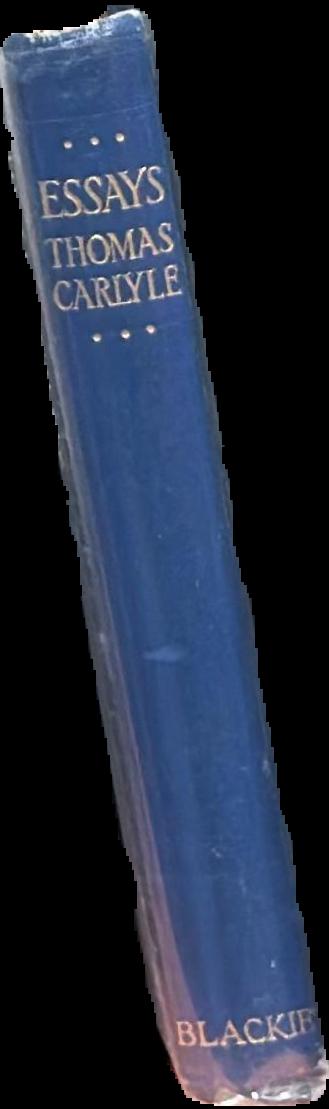 Essays spine