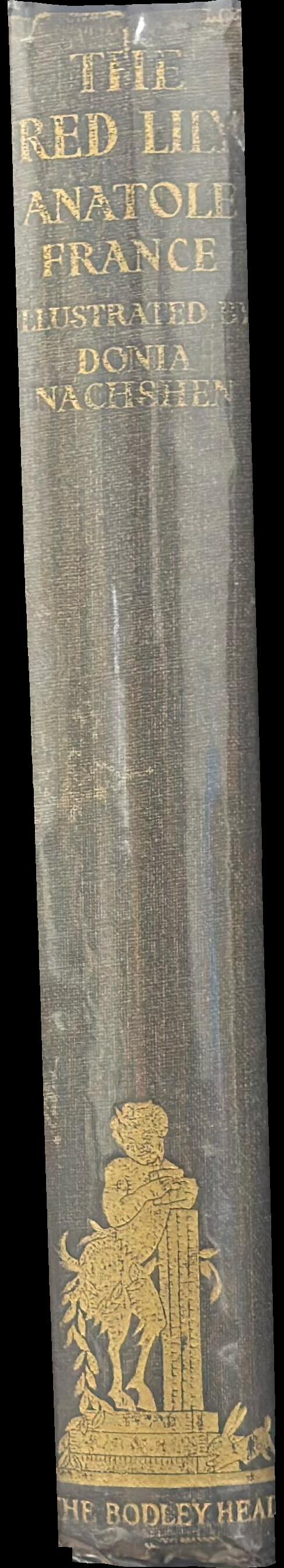 The red lily spine
