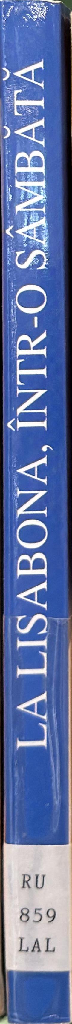 La Lisabona intr-o sambata spine