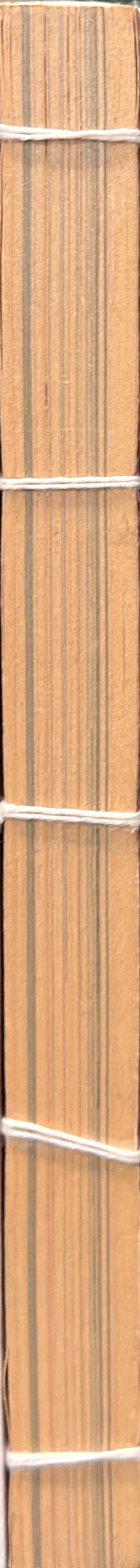 Asian art biennial : 2007 spine