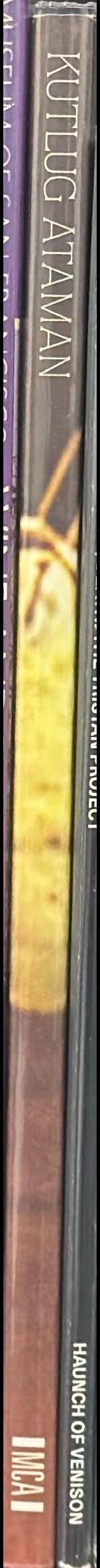 Kutlug Ataman : perfect strangers spine