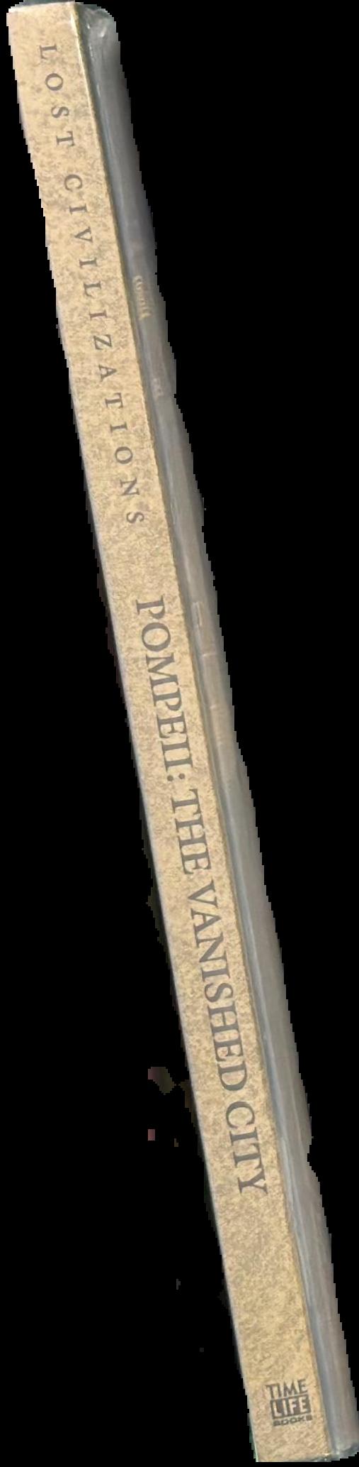Pompeii : the vanished city spine