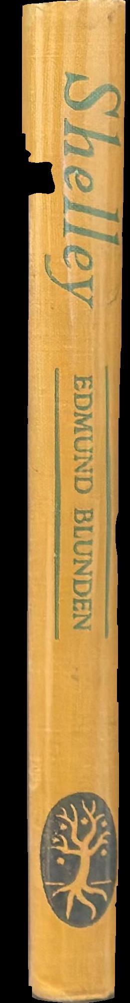 Shelley : a life story spine